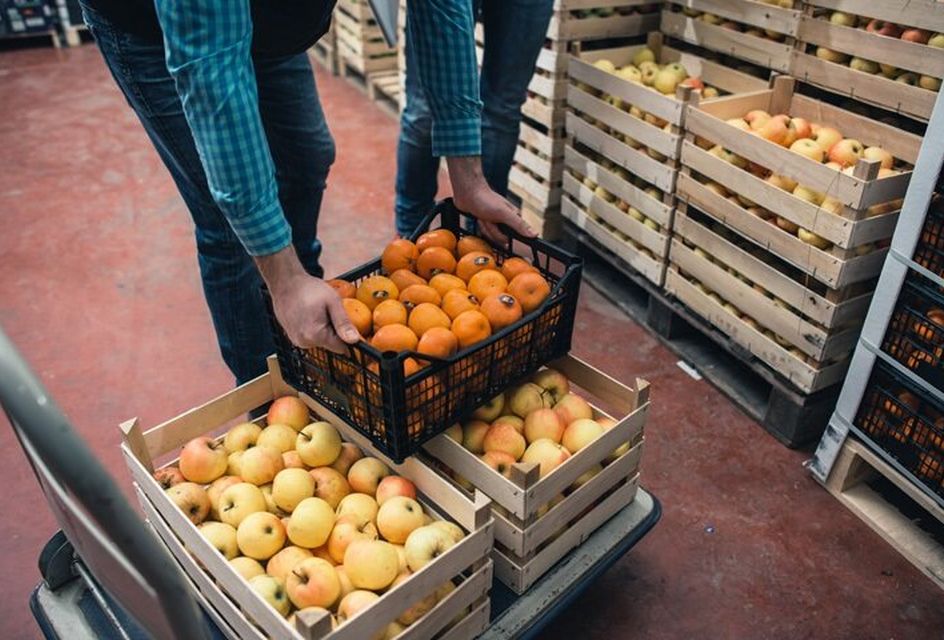 A person putting down a crate of oranges on a trolley in a warehouse.