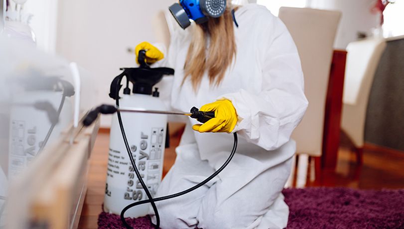 Female pest controller working in a house
