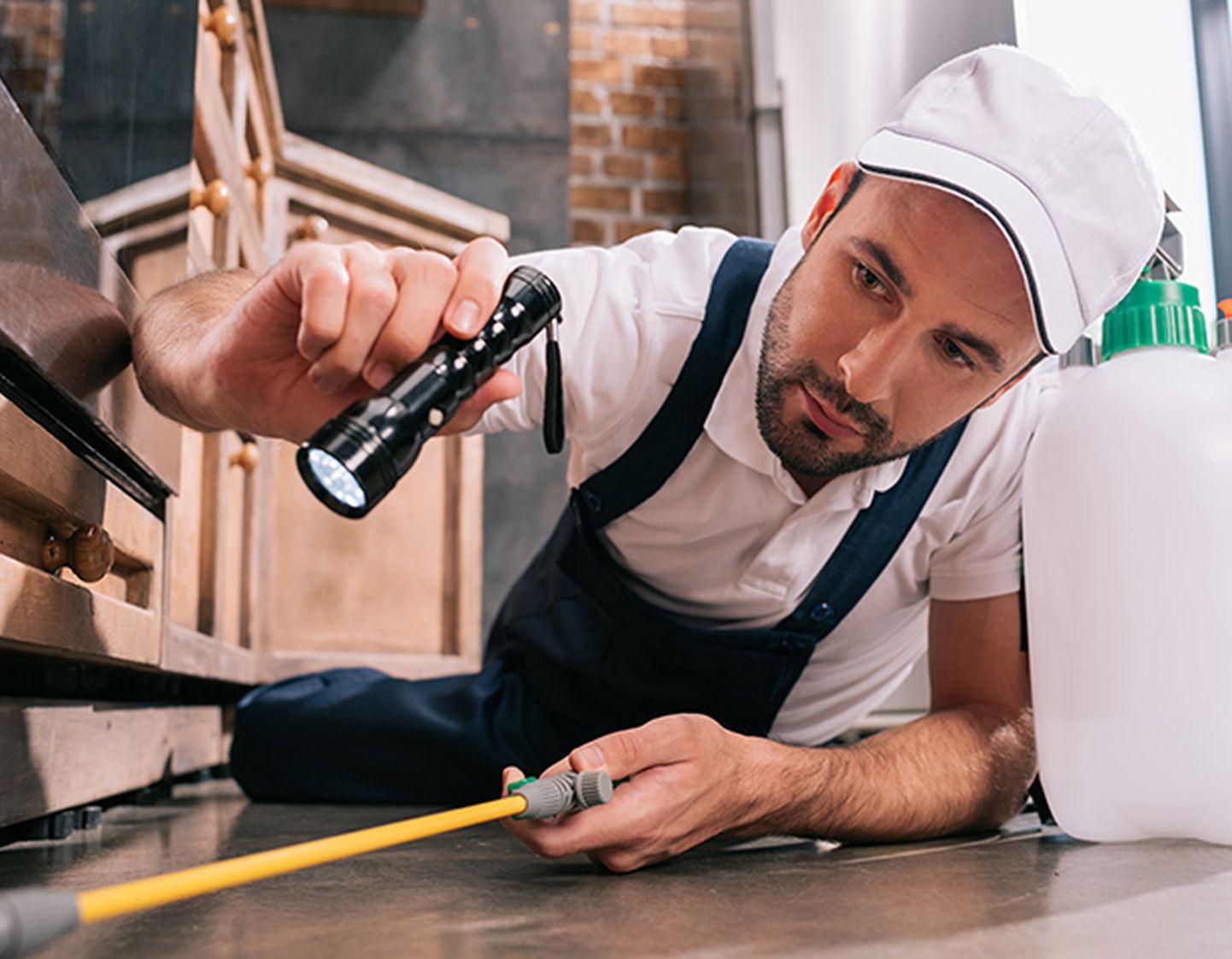 Pest control careers hub | RSPH