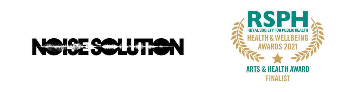 Noise Solution logo
