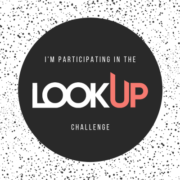 LookUp Challenge