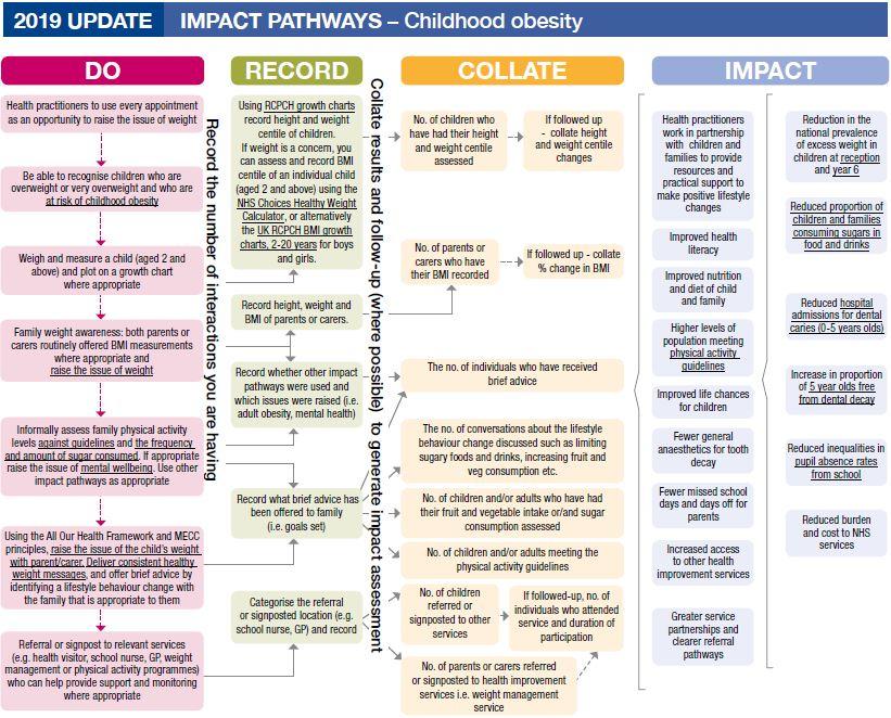 Childhood obesity pathway.JPG